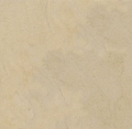coquillage limestone